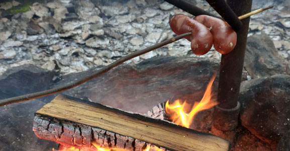 Metsäkylän makkaraa